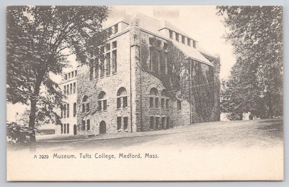 Tufts College Museum Medford MA Rotograph Co. Early 1900s Postcard