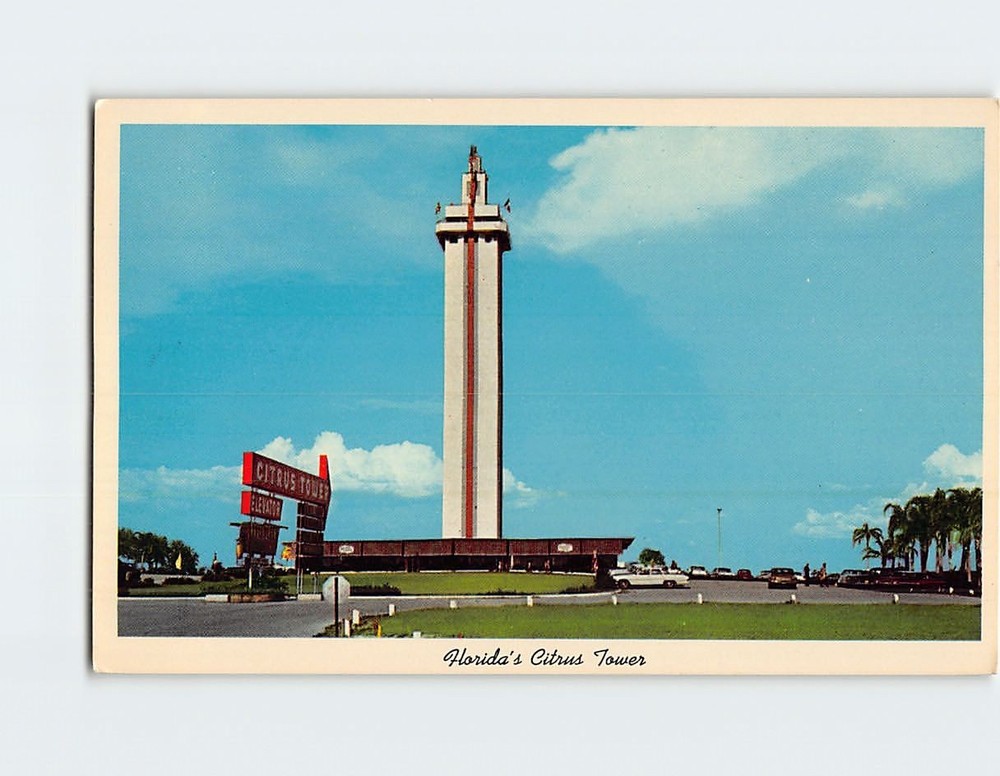 Postcard Citrus Tower Florida USA