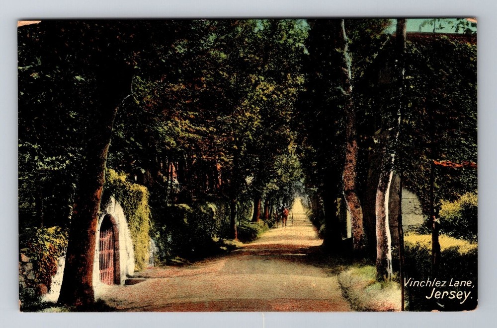 Jersey-England, Vinchlez Lane, Antique Vintage Souvenir Postcard