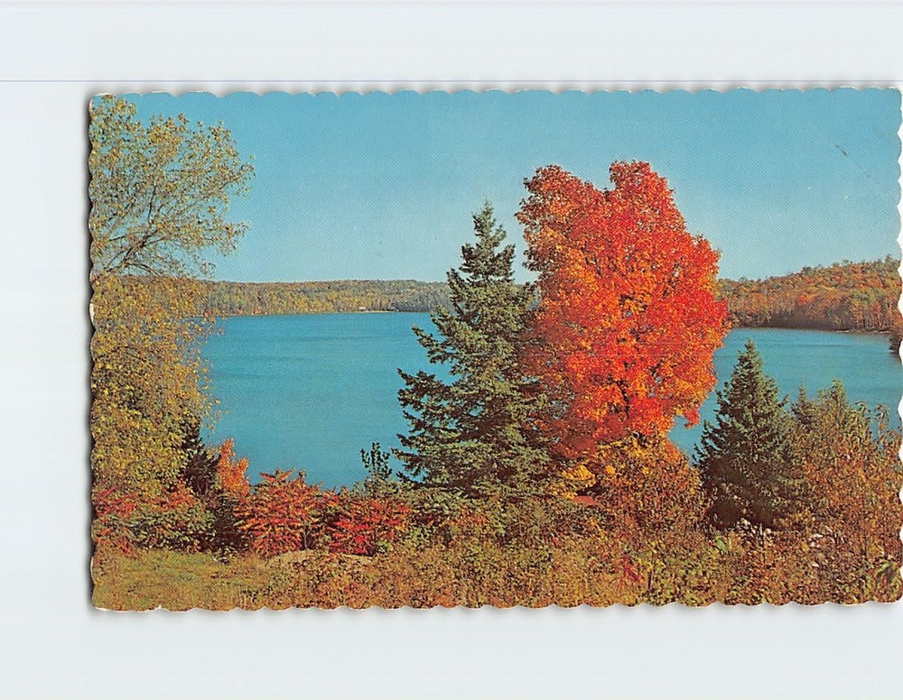 Postcard Autumn Beauty Greetings from Lennoxville Quebec Canada