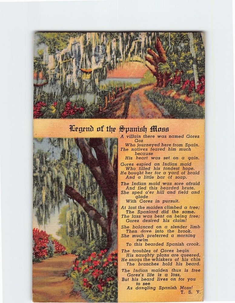 Postcard Legend of the Spanish Moss USA