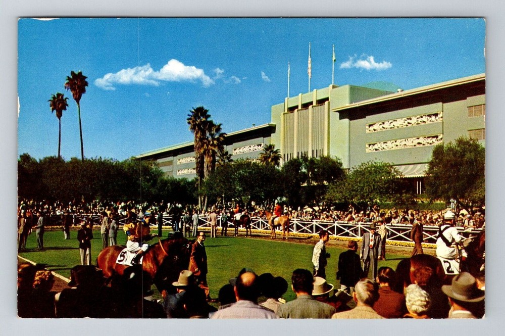 Arcadia CA-California, Santa Anita Race Track, Vintage Postcard