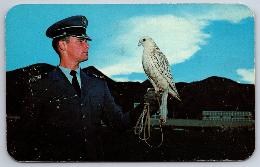 Military~Cadet & Falcon of US Air Force Academy Pikes Peak CO~Vintage Postcard