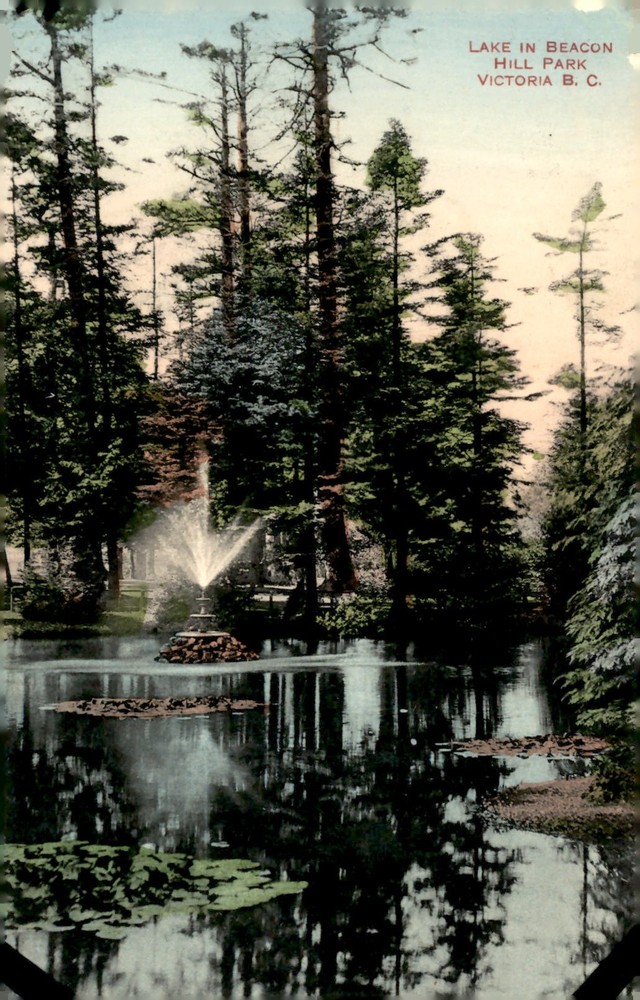 Beacon Hill Park, Victoria B.C. Postcard