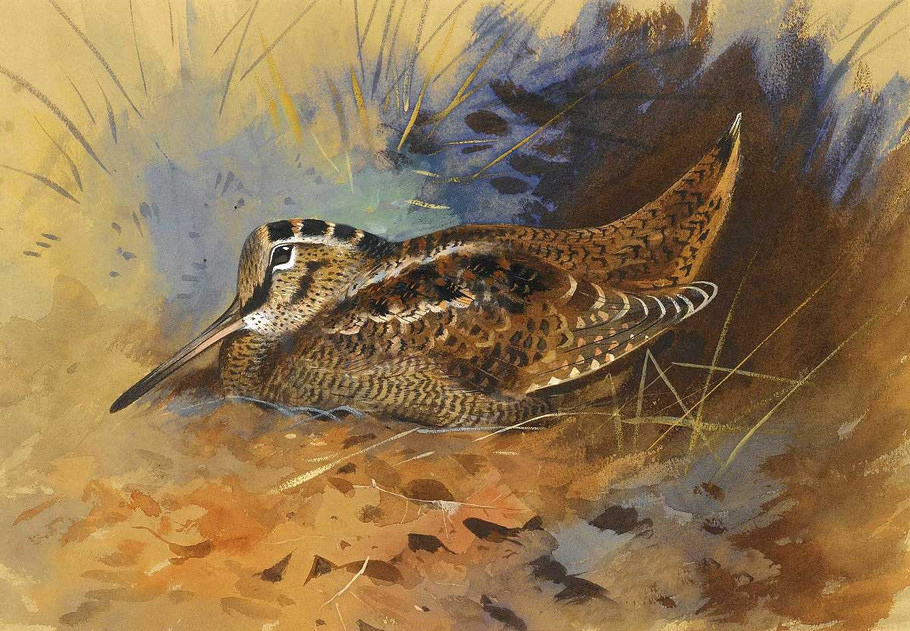 Stunning oil painting nice bird in landscape handpainted free shipping canvas
