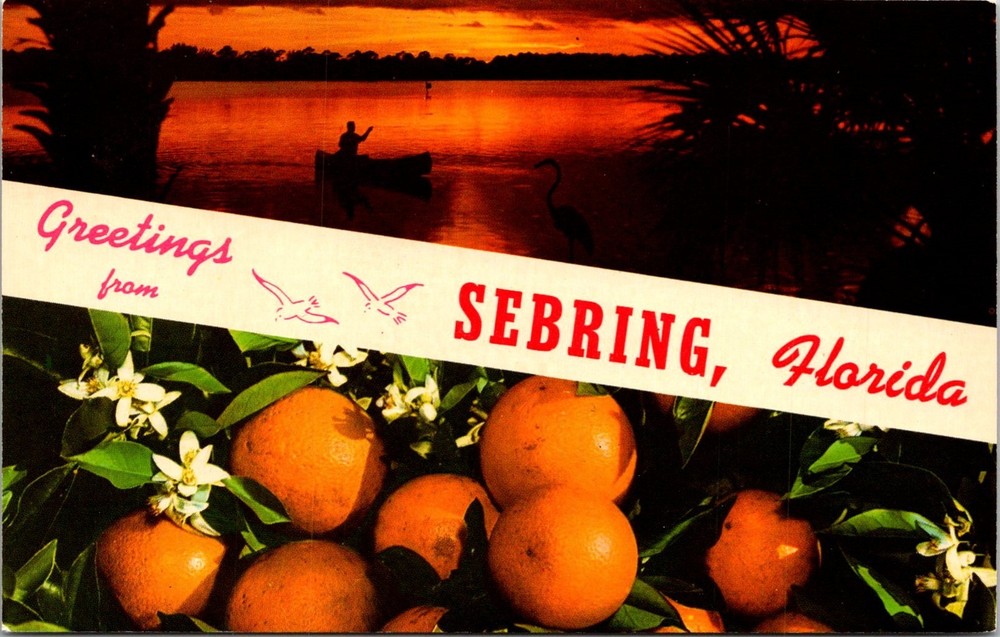 Dr Jim Stamps Postcard Greetings From Sebring Florida Multiview Unposted