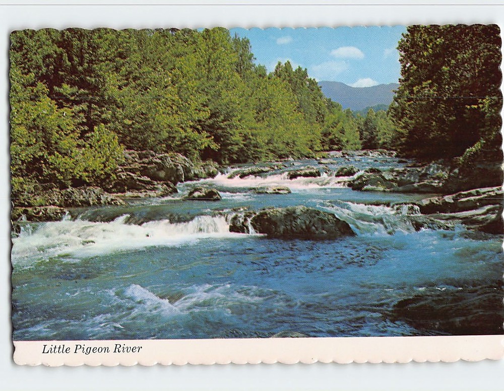 Postcard Little Pigeon River Great Smoky Mountains National Park Tennessee USA