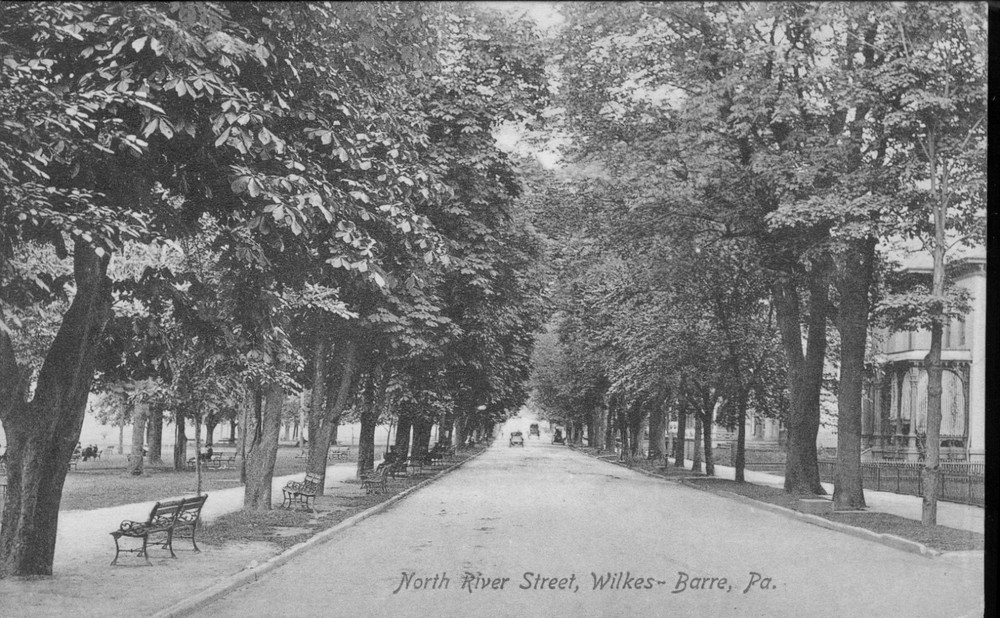 North River Street Wilkes Barre Pennsylvania PA Postcard