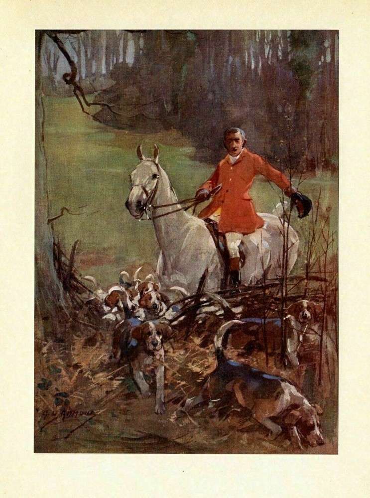Hunting Fox With Hounds, Foxhounds Jumping The Fence, Hunter On Horseback, Dog