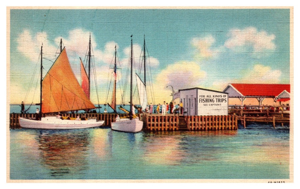 Atlantic City NJ New Jersey View of Pier at Inlet Linen Postcard Posted 1936