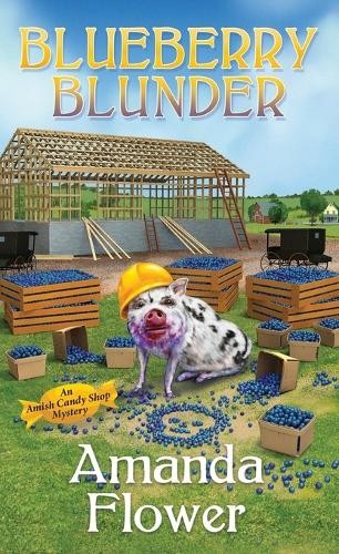 Amanda Flower Blueberry Blunder (Paperback) Amish Candy Shop Mystery (#8)Another great item from Rarewaves USA | Free delivery!