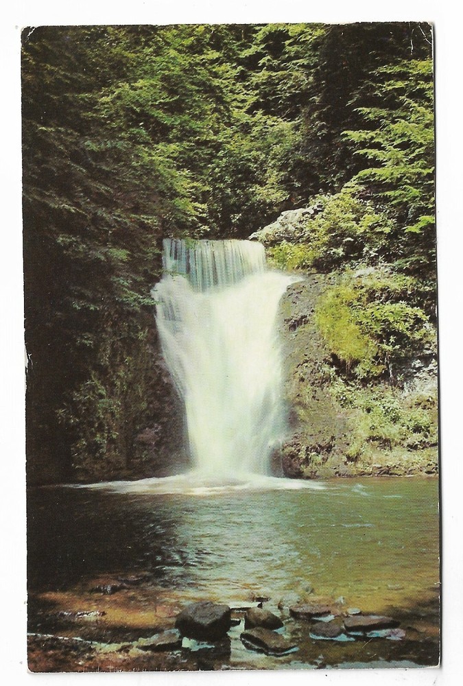 VTG Postcard Lower Falls at 