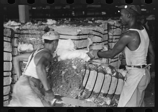 Houston Texas 1939 cotton compress workers sampling bale on hand truck