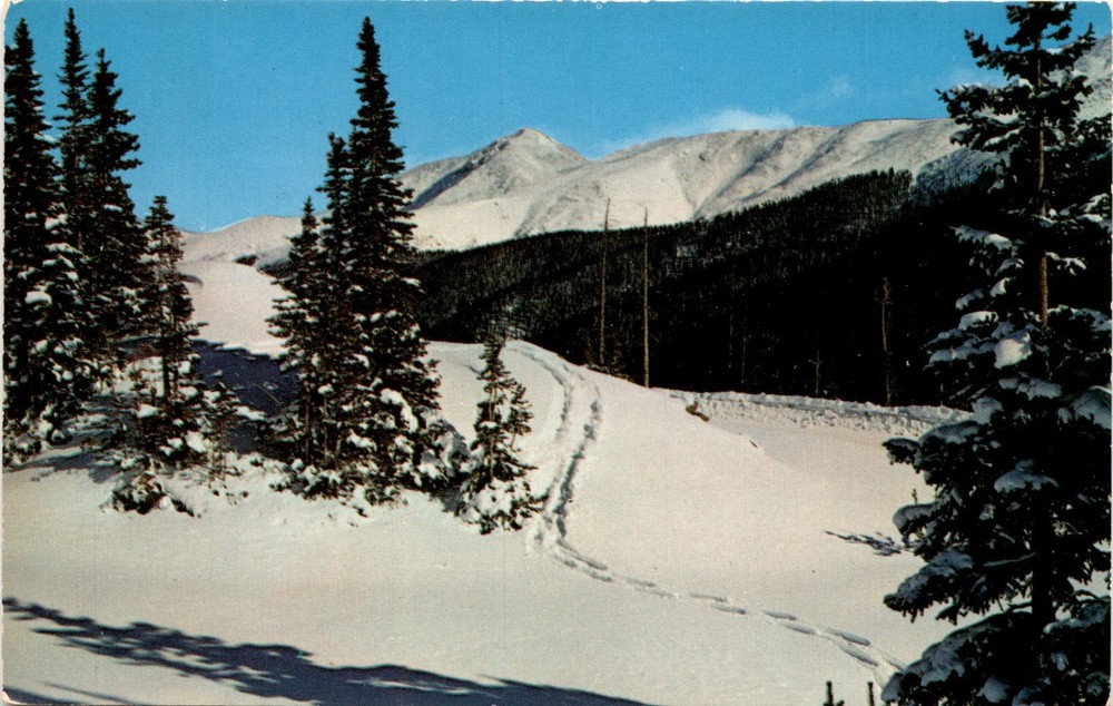 Berthoud Pass highway, Continental Divide, Colorado, Sanborn Souvenir Postcard