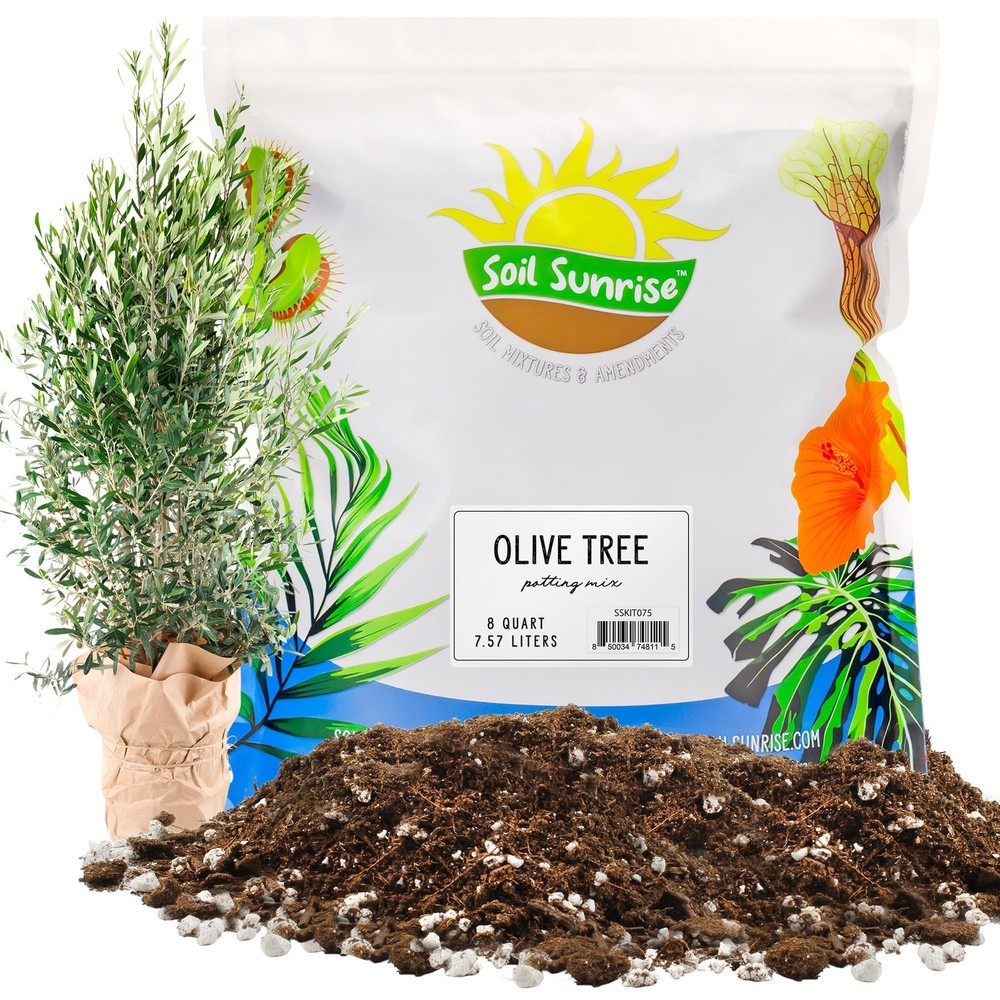Olive Tree Potting Soil Mix 8 Quarts for Planting Repotting and Growing