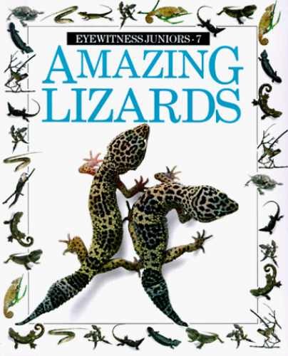 Amazing Lizards (Eyewitness Junior) - Paperback, by Smith Trevor - Very Good