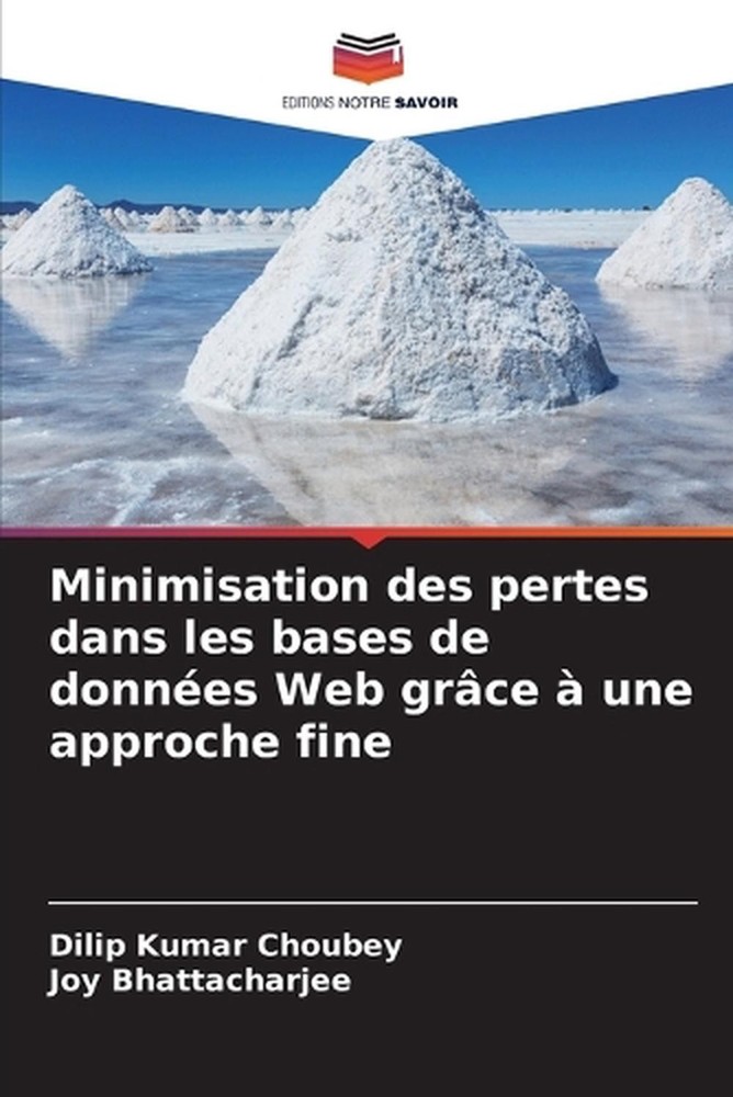Minimisation des pertes dans les bases de donnes Web grce une approche fine by D