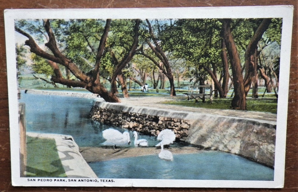 San Pedro Park w/ Swans San Antonio, Texas Postcard