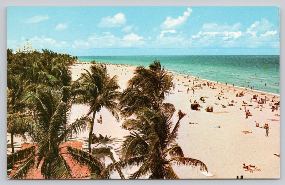 Vintage Miami Beach Florida Palm Trees Oceanfront Crowd Chrome Postcard FNC-843