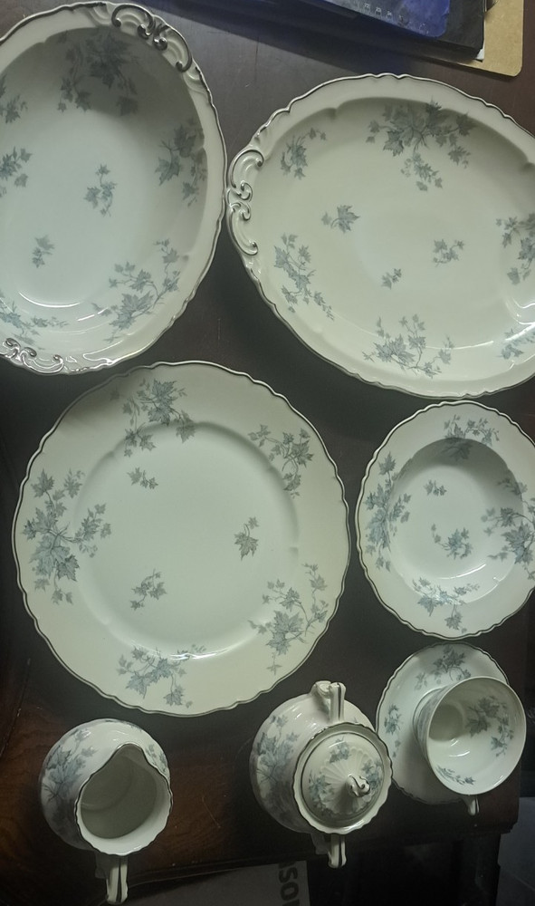 Haviland Porcelaine de Limoges France Floral Porcelain Dinner