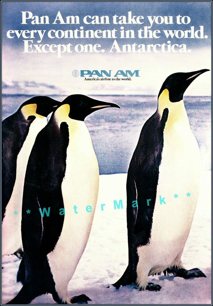 Vintage 1970 Pan Am Antarctica Penguins Retro Travel Poster Print