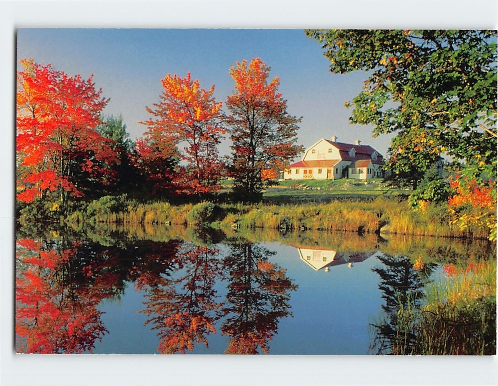 Postcard Autumn Scene Mount Desert Island Maine