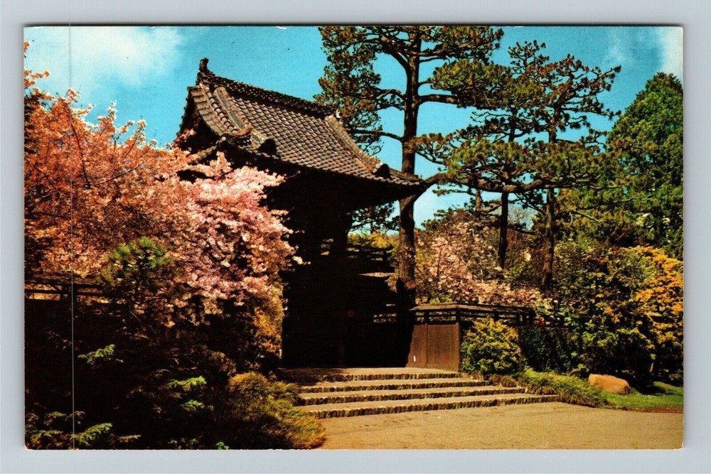 San Francisco CA-California Oriental Tea Garden Golden Gate Park Chrome Postcard