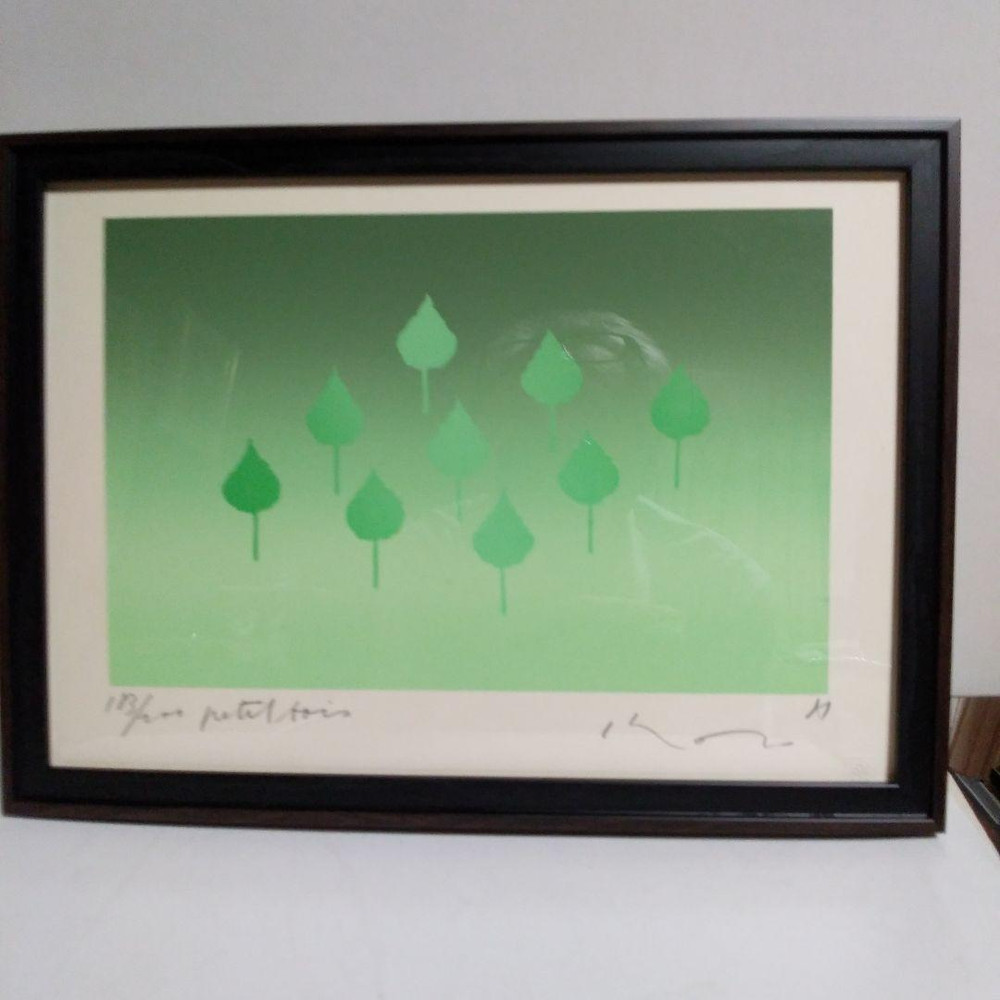 Kozo Inoue Silkscreen Print 「petit foirs」Signed Artworks with frame Used