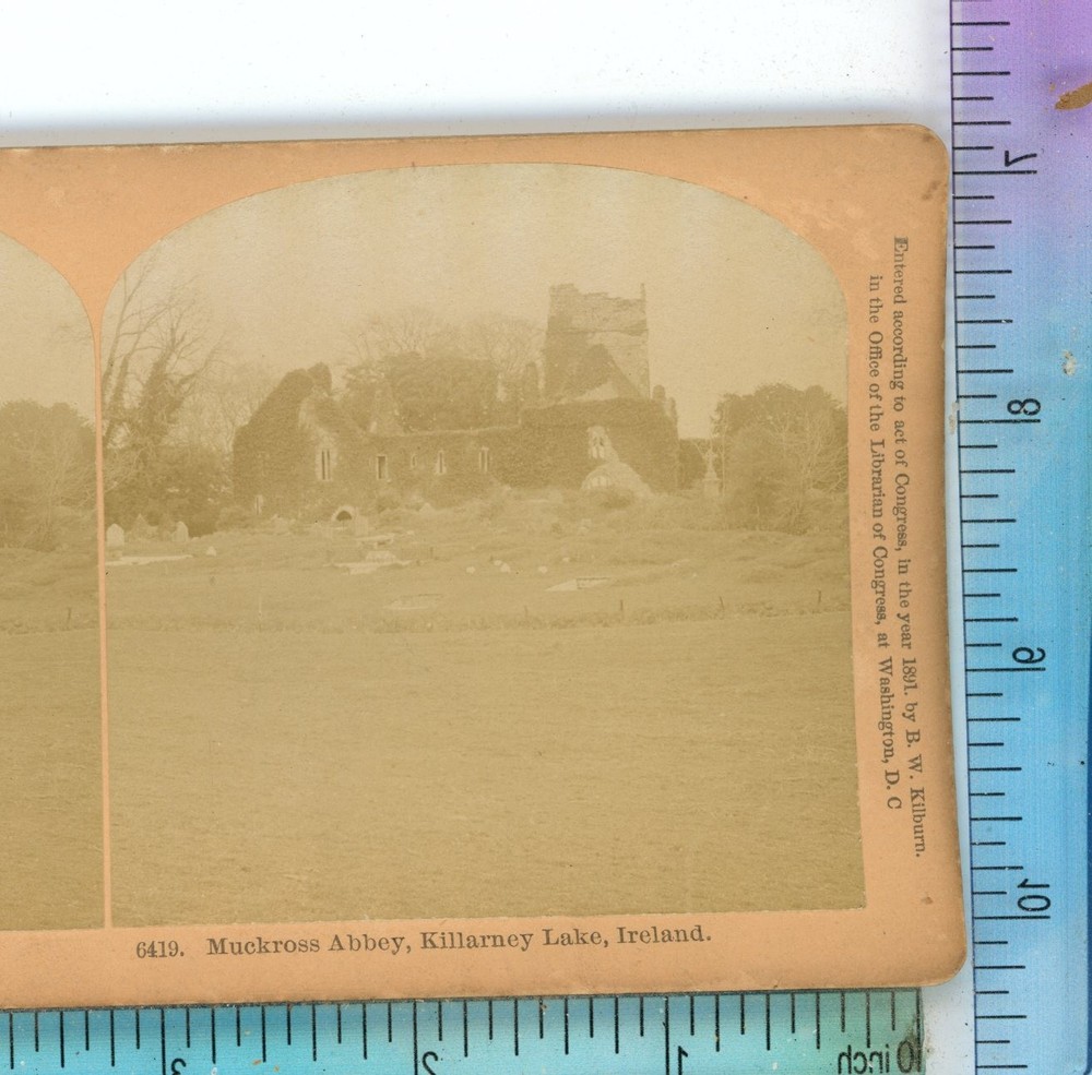 Muckross Abbey Killarney Lake Ireland B.W. Kilburn Stereoview