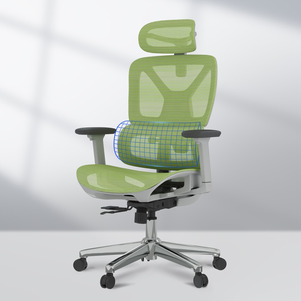 Flexispot OC4-SD Ergonomic Office Chair with Dynamic Lumbar Support