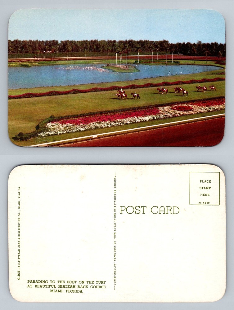 Miami, FL-Florida, Hialeah Race Course Parading To The Post Vintage Postcard