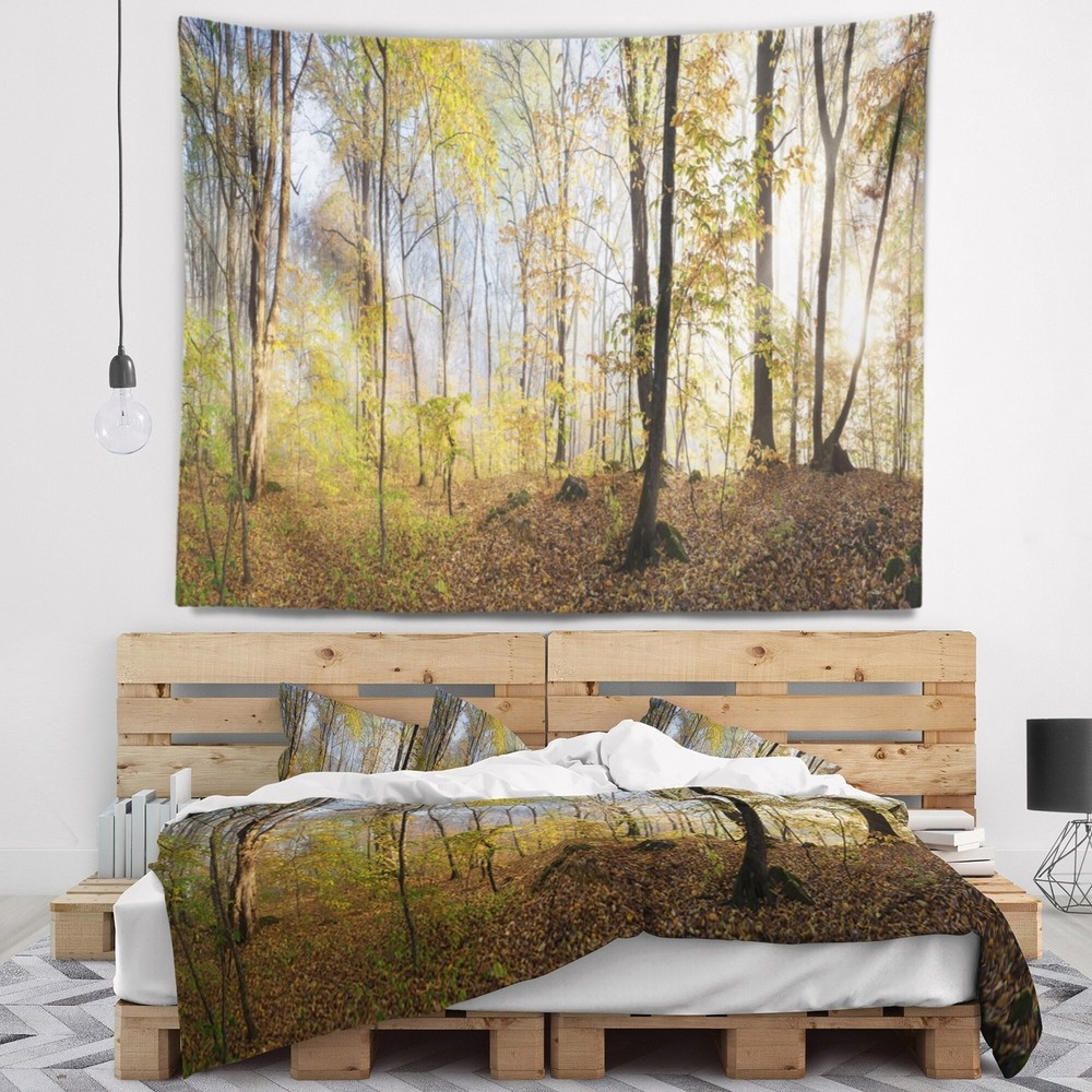 Designart 'Green Autumn Forest in Morning' Landscape  Small