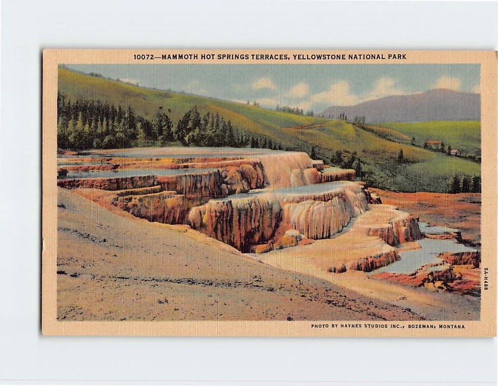 Postcard Mammoth Hot Springs Terraces Yellowstone National Park Wyoming USA