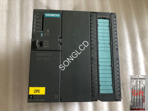 1PCS 6ES7313-6CE01-0AB0 via DHL or Fedex fast shipping