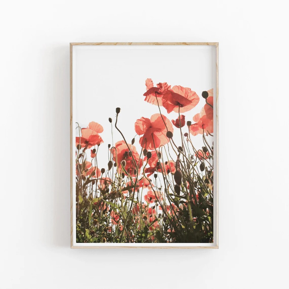 Poppies Closeup Wall Art Poster Premium Quality Choose your Size
