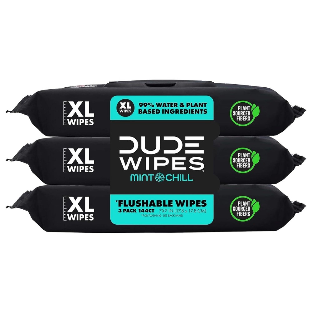 Flushable Mint Chill Extra-Large Adult Wet Wipes 3 Pack 144 Count