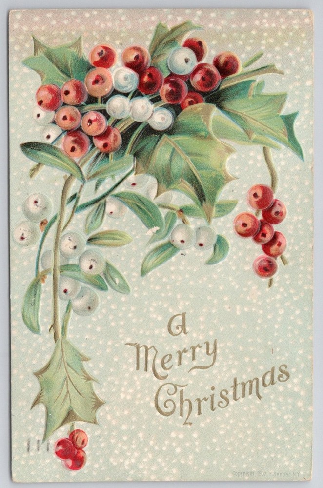 1907 Embossed Holly Mistletoe A Merry Christmas Postcard 1908 Phila PA