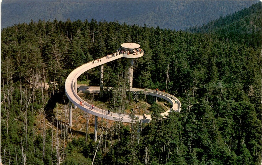 GS-211, Clingmans Dome, Great Smoky Mountains National Park, North Postcard