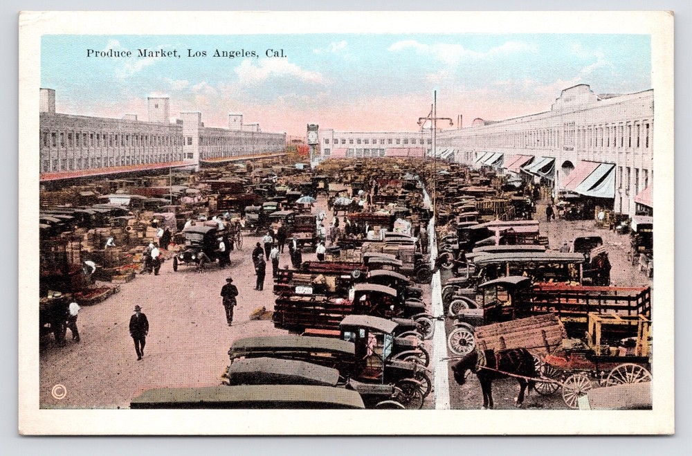 c1920s~Produce Farmers Market~Trucks~Los Angeles California CA~Antique Postcard