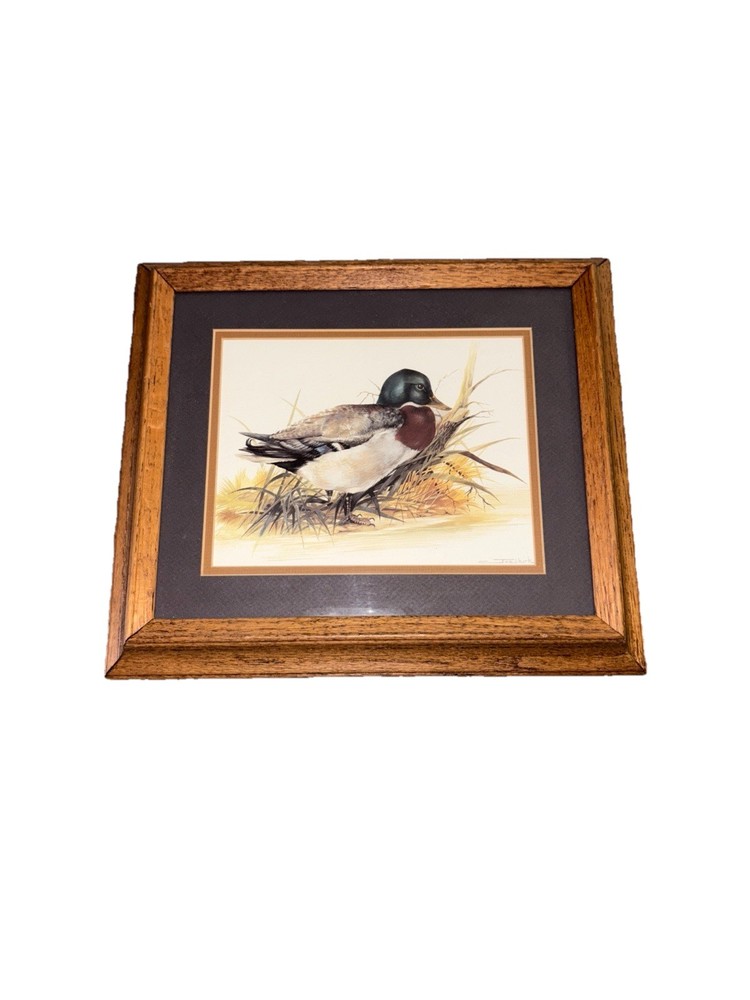 Mallard Duck Joel Kirk Signed Matted Wooden Framed Print