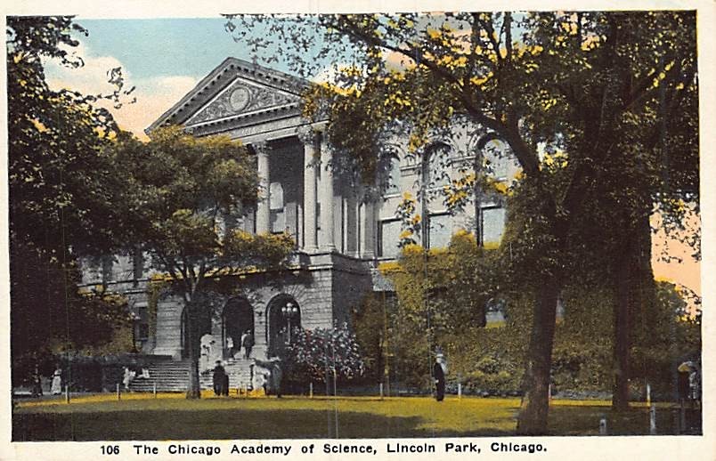 Postcard IL: Chicago Academy of Science, Chicago, Illinois, WB 1920's-image
