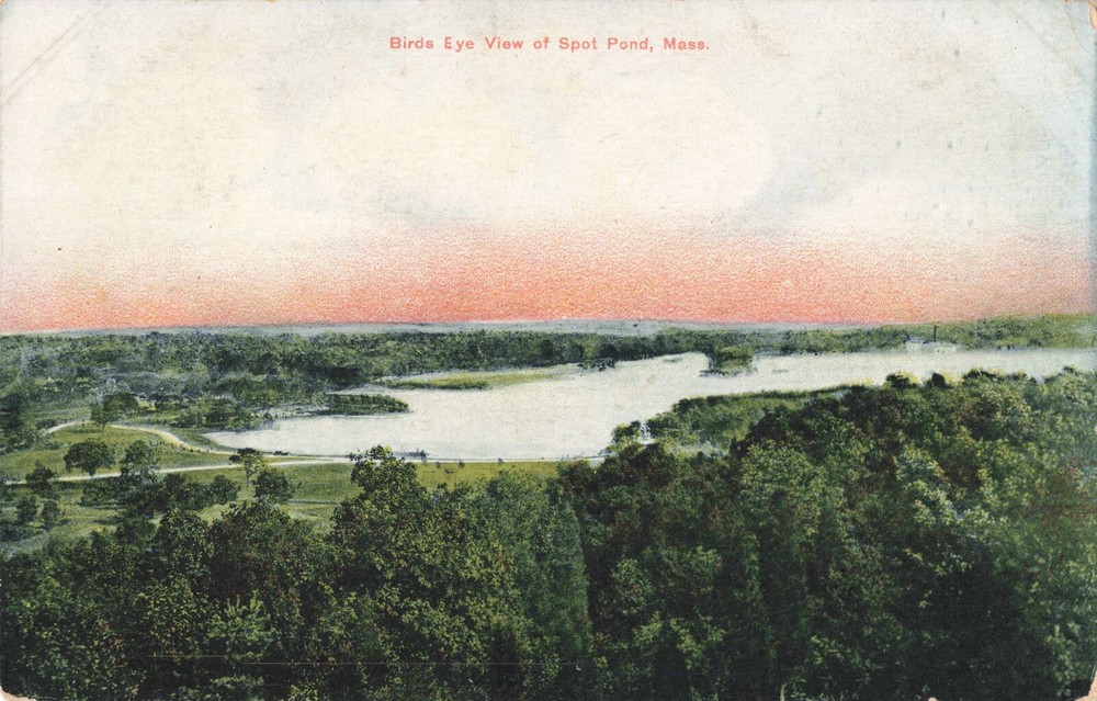 Birdseye View of Spot Pond Massachusetts MA c1910 Postcard