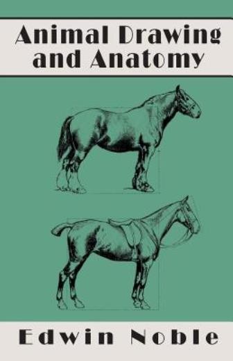 Animal Drawing And Anatomy