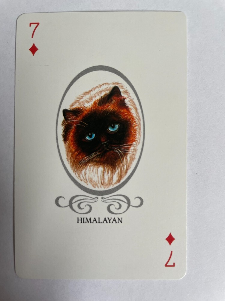 Himalayan Kitten Cat Portrait Artist Artwork Painting Vintage Playing Swap Card