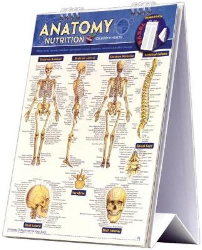 Vincent Perez Anatomy & Nutrition for Body & Health Easel Book (Spiral Bound)