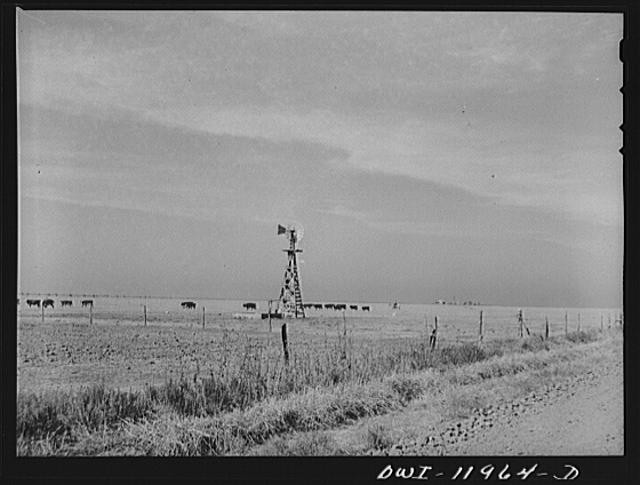 Texas Panhandle Deaf Smith County 1930s Landscape Windmill Cattle Ranch