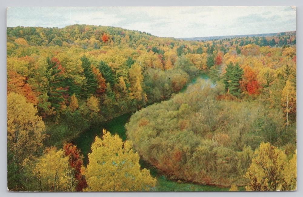 Vintage Postcard High Rollaways Muskegon River Newaygo Michigan Fall Color