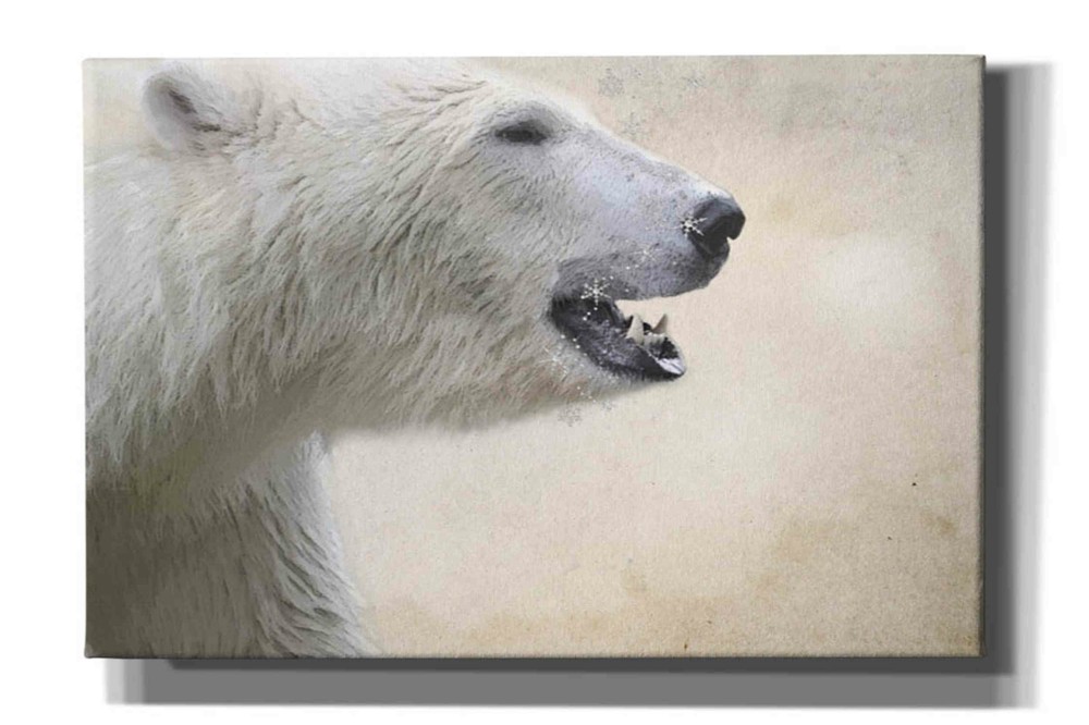 Epic Graffiti 'Polar' by Karen Smith, Giclee Canvas Wall Art