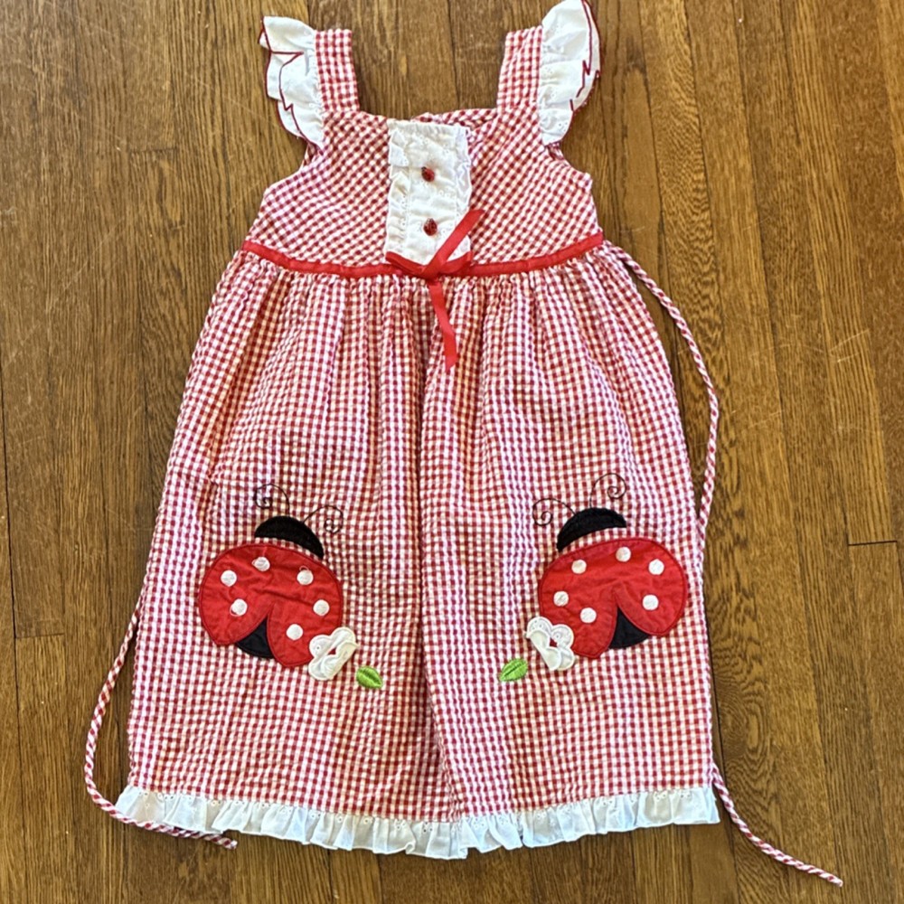 Jenny & Me Girls A-Line Gingham Dress Red White Ladybug Applique Square Neck 6