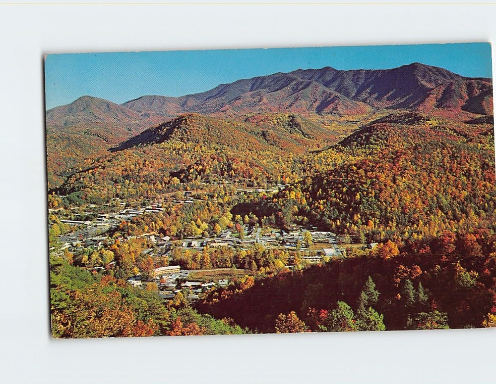 Postcard  Autumn Great Smoky Mountains National Park at Mt Leconte Tennessee